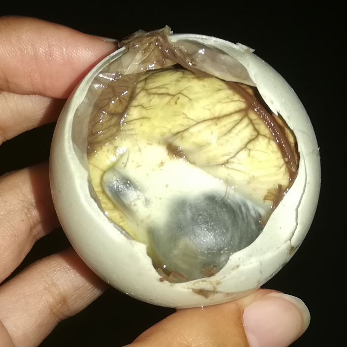 フィリピン アヒルの卵 Balut バロット